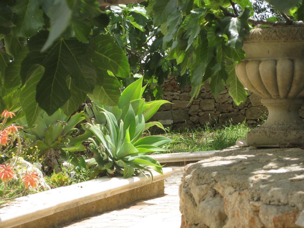 Casa Veneri Bed & Breakfast Salve Exterior photo